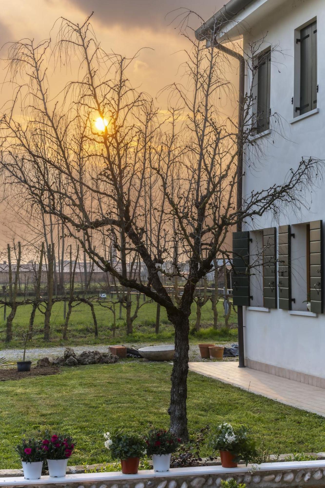 Agriturismo Al Botteniga Treviso Exterior foto