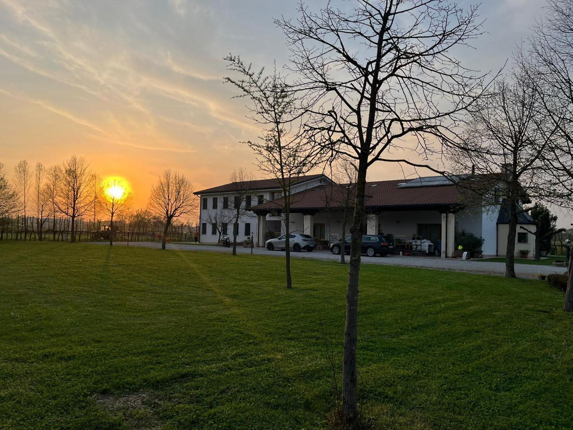 Agriturismo Al Botteniga Treviso Exterior foto